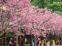 -宝墨园景区