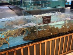 -都市阳光海鲜城(青山湖店)