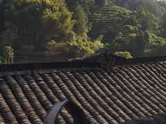-杨家堂村