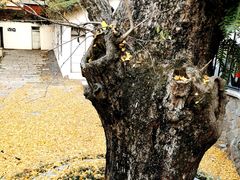 -烟台山景区