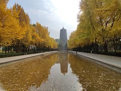 -玲珑塔公园