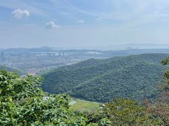 -惠山国家森林公园