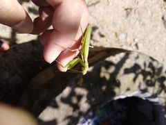 -碓臼峪自然风景区