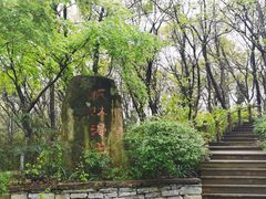 -金陵矩阵(聚宝山公园店)