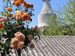 -火火咖啡&茶空间