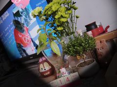 -布歌东京(清河万象汇店)