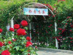 -太阳宫公园