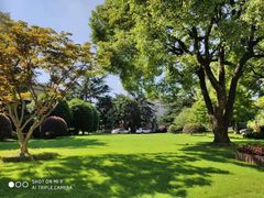 -上海兴国宾馆香樟园西餐厅