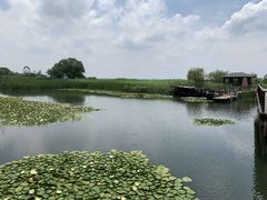 -太湖湖滨国家湿地公园-停车场