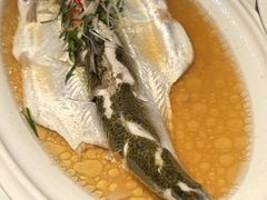 -老洋房花园饭店(绍兴路店)