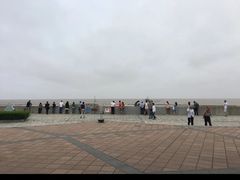 -南汇嘴观海公园