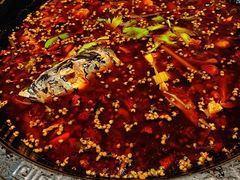 -大鱼山房鱼头火锅(老字号品质店)