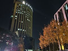 -贺绿汀音乐厅