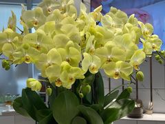 -酸婆娘江湖川菜(紫竹路店)