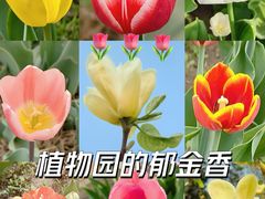 -国家植物园