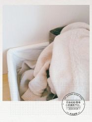 -松和日式美容整骨