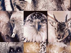 -中国湿地博物馆