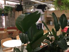 -老乡鸡(上海白玉兰广场店)