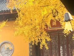 -上海青龙寺
