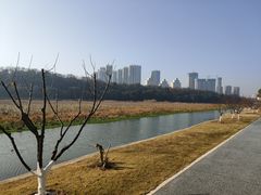 -月湖风景区