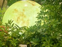 -京北渔家傲
