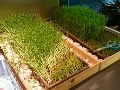 -夫妻肺片·中华老字号·正宗川菜(春熙路店)