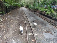 -可伦宾野生动物保护区
