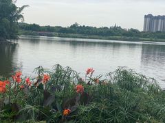 -眉山湿地公园(东坡区)