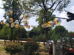 -呼吸森林·生态农庄农家乐私房菜