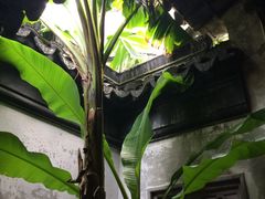 -卫道观前潘宅