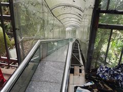 -七仙岭温泉国家森林公园