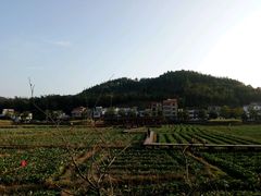 -红山村
