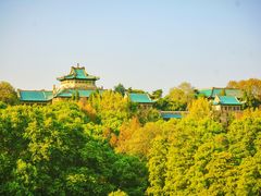 -武汉大学-樱园