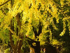 -食膳公园包子铺(烈士公园店)