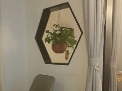 -蘇河湾·新鲁菜·泰山宴老店