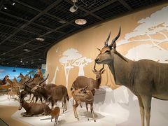 -陕西自然博物馆