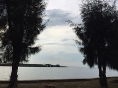 万绿园-万绿园