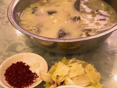 -胡世羊肉汤(南街店)