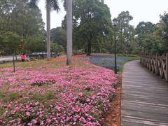 -广州市流溪河国家森林公园