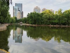 -团结湖公园