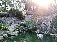深海鱼养生迷你小火锅-厦门园林植物园-植物园滴水山房