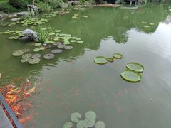 -云溪植物园