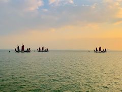 -贡湖湾湿地公园