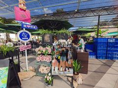 -京北渔家傲