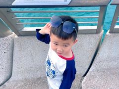 -海港城