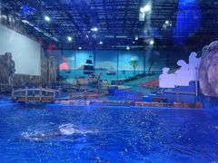 -华夏文旅海洋公园