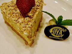 -COVA(上海K11艺术中心店)
