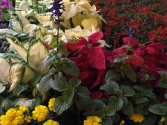 -龙环葡韵住宅式博物馆