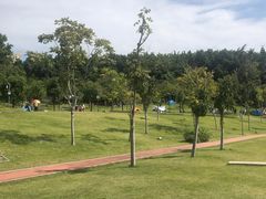 -牛岗山公园