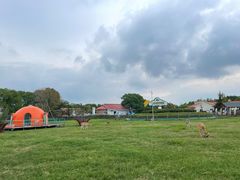 -苏州太湖西山岛开心农场